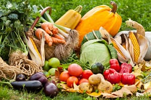 Culte Moisson2 Soreltracy